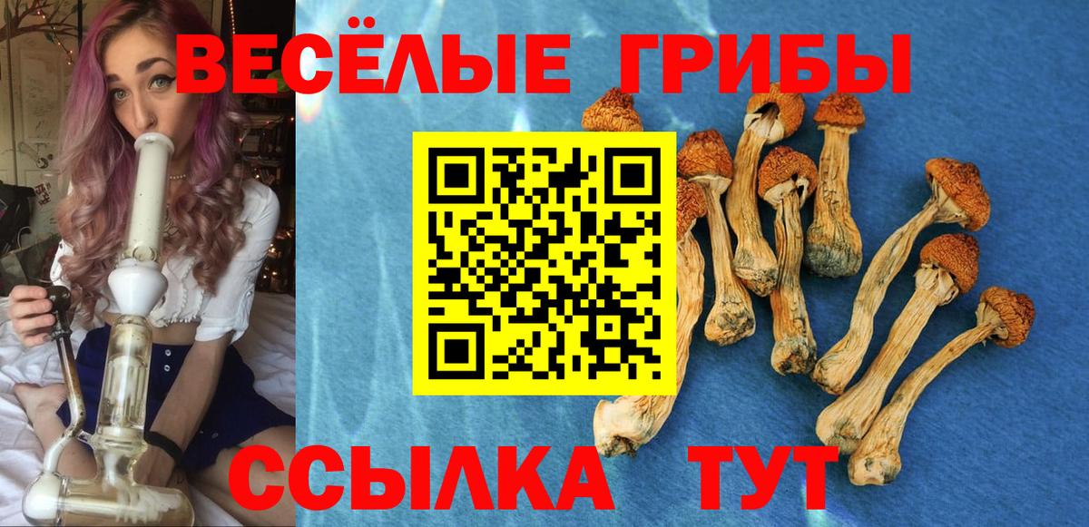 наркота  Галлюциногенные грибы MAGIC MUSHROOMS  Вход с VPN  Шелехов 