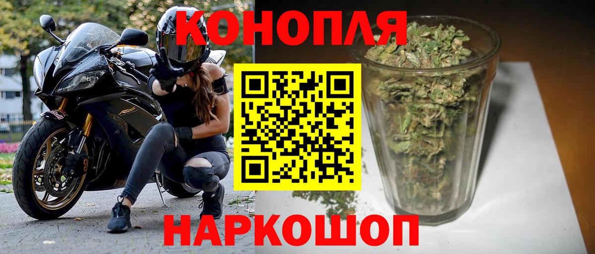 Марихуана OG Kush Шелехов